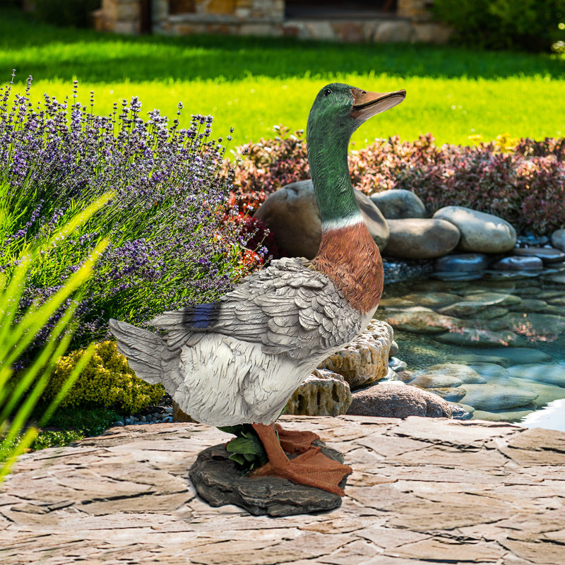 Design Toscano Mallard Duck Statue & Reviews Wayfair.co.uk